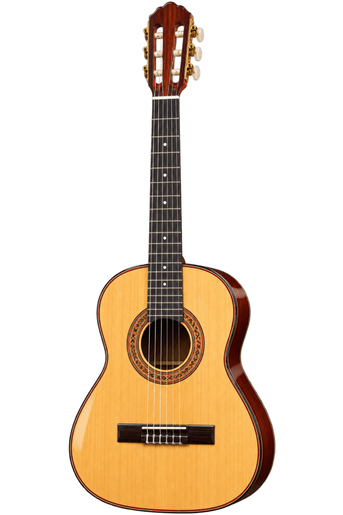 Guitarra Acustica