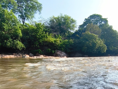Valledupar te doy mi cariño